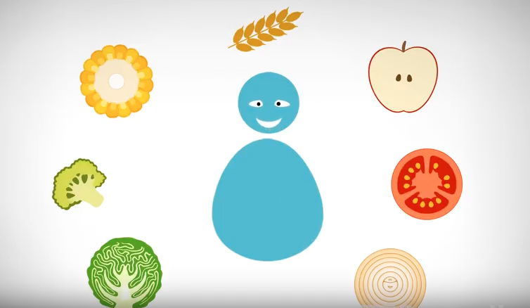 Healthy weight management
